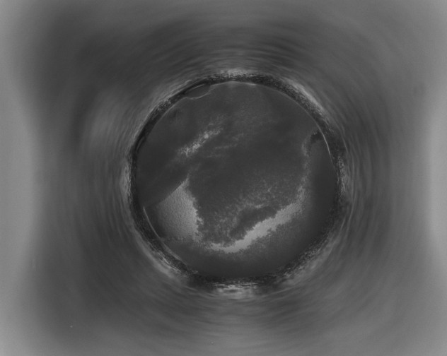 X0000116440447200912081600