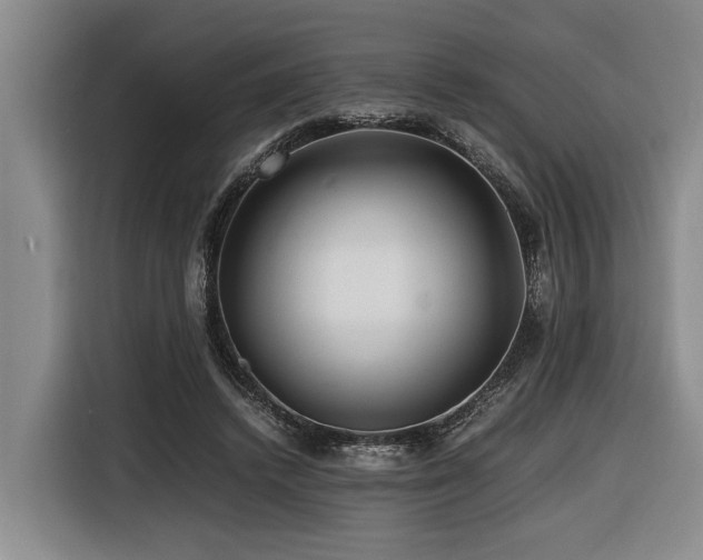 X0000116440448200912081600