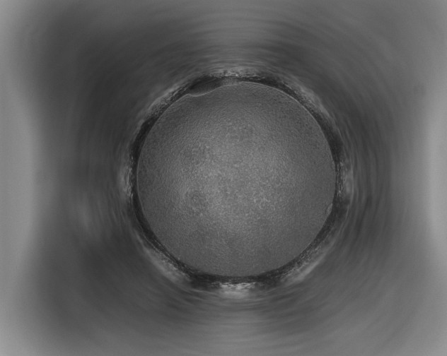X0000116440450200912081600