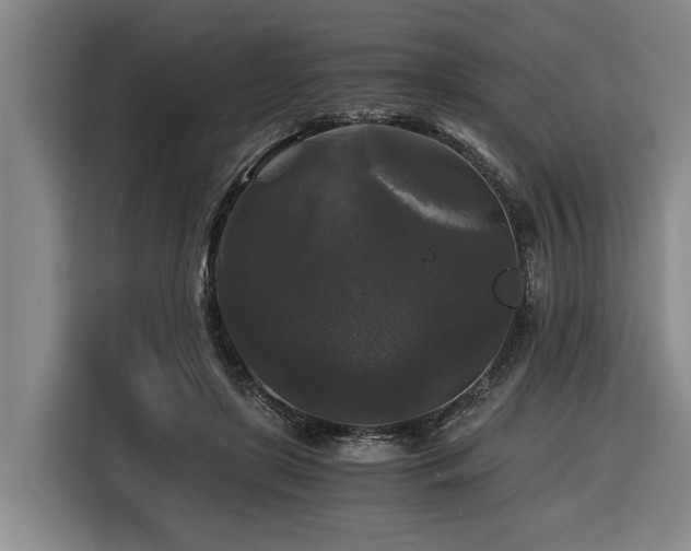 X0000116440451200912081600
