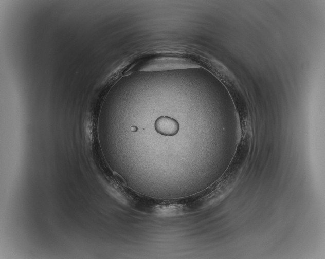 X0000116440452200912081600