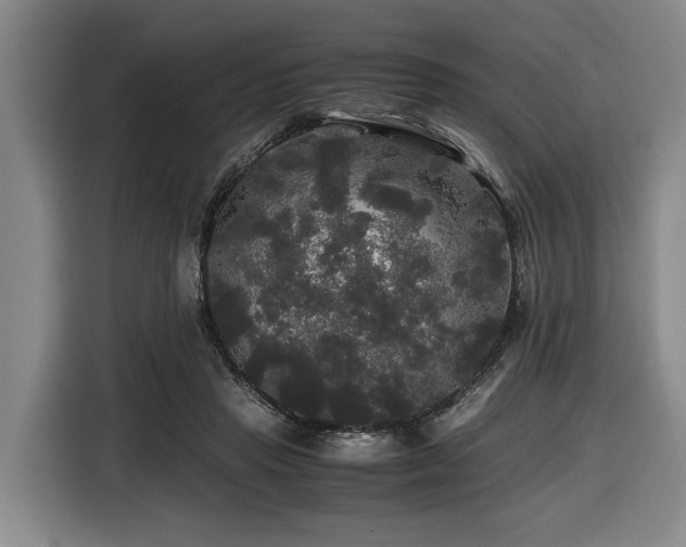 X0000116440453200912081600