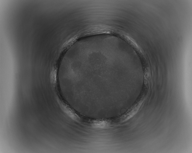 X0000116440454200912081600