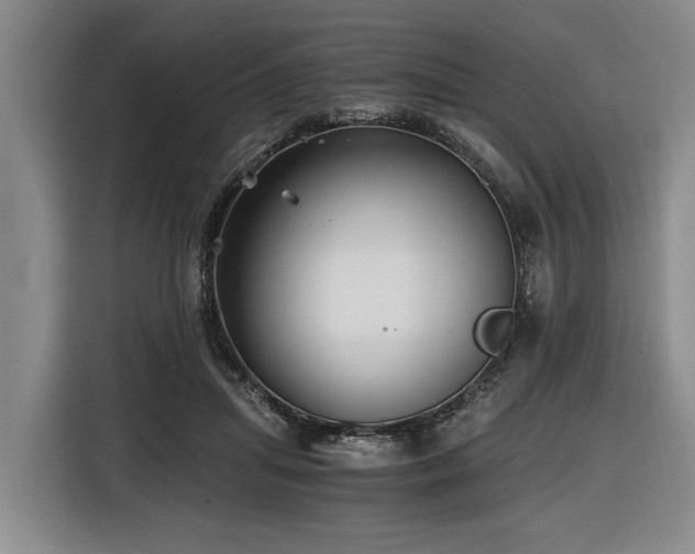 X0000116440455200912081600