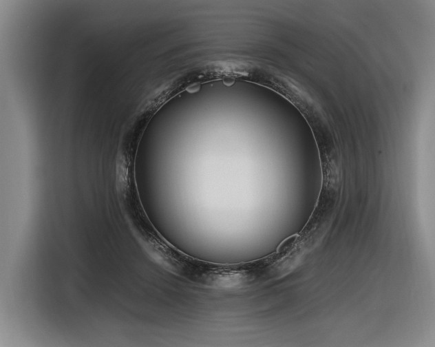 X0000116440456200912081600