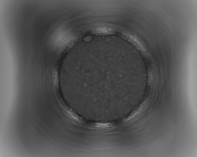 X0000116440457200912081600