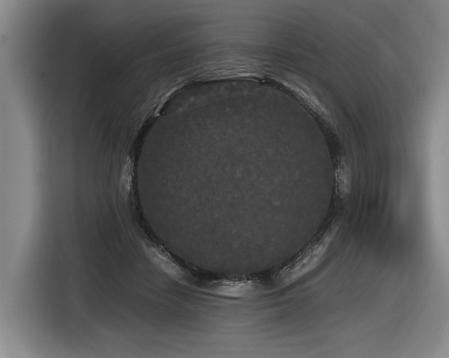 X0000116440458200912081600
