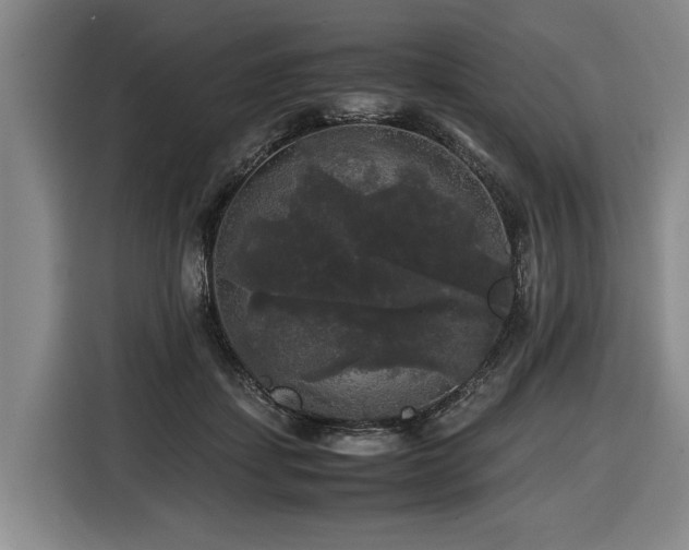 X0000116440459200912081600