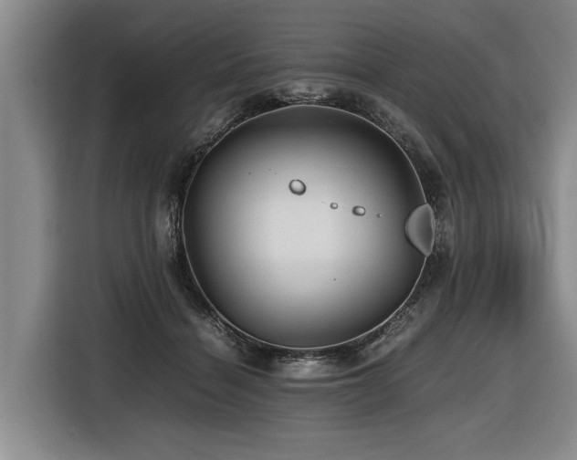 X0000116440460200912081600