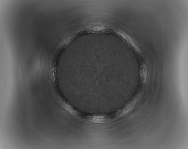 X0000116440462200912081600