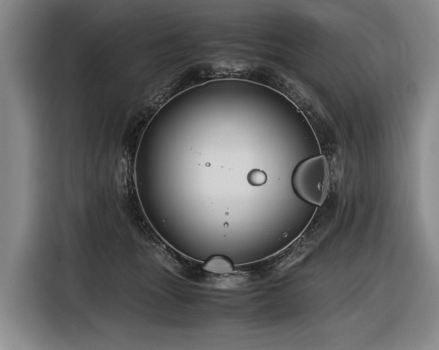 X0000116440463200912081600