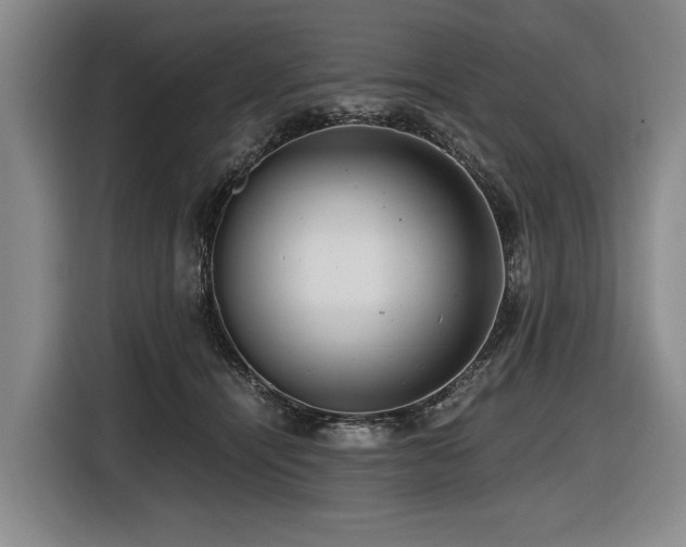 X0000116440464200912081600