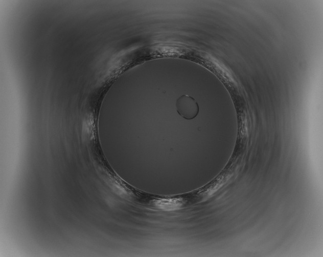 X0000116440465200912081600