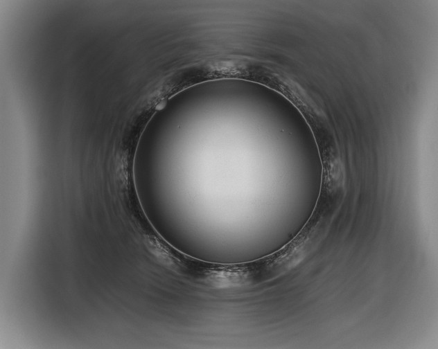 X0000116440466200912081600