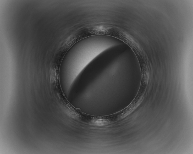 X0000116440467200912081600