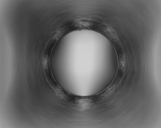 X0000116440468200912081600