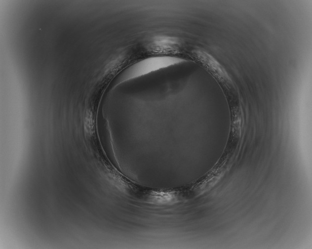 X0000116440469200912081600