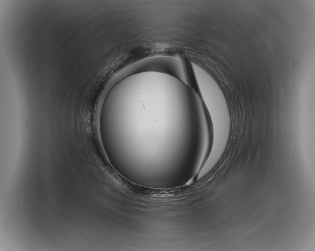 X0000116440470200912081600