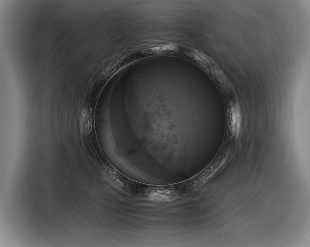 X0000116440471200912081600
