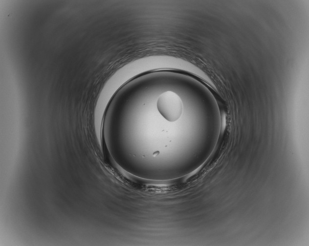 X0000116440472200912081600