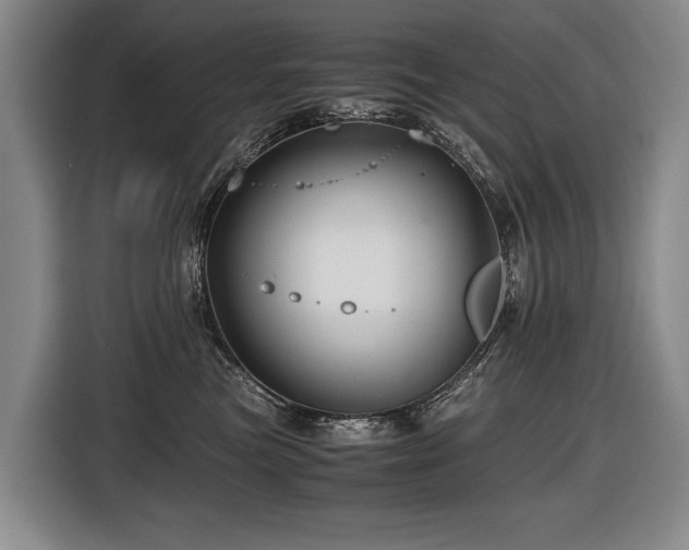 X0000116440473200912081600