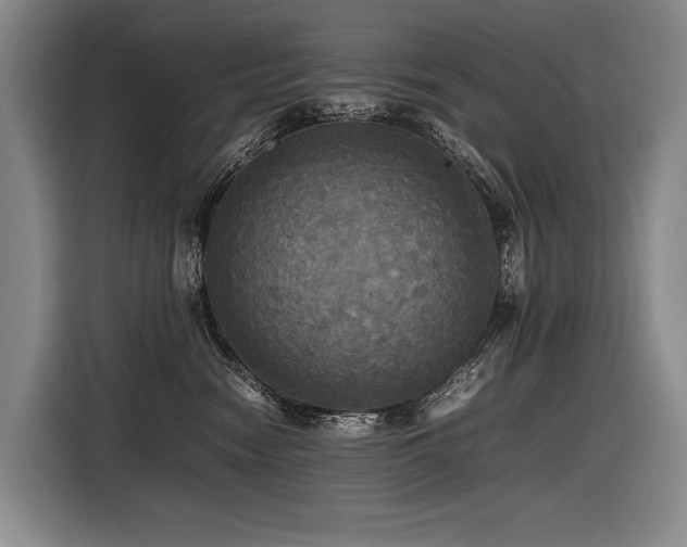 X0000116440474200912081600