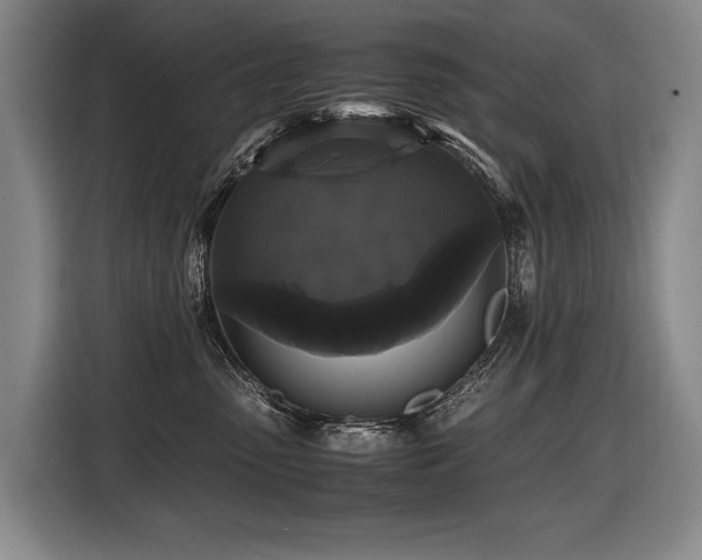 X0000116440475200912081600