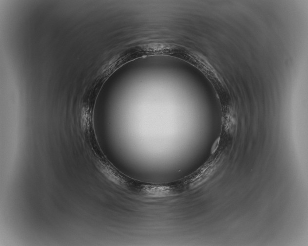 X0000116440476200912081600