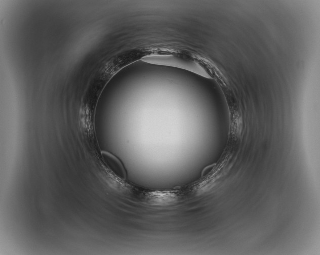 X0000116440477200912081600