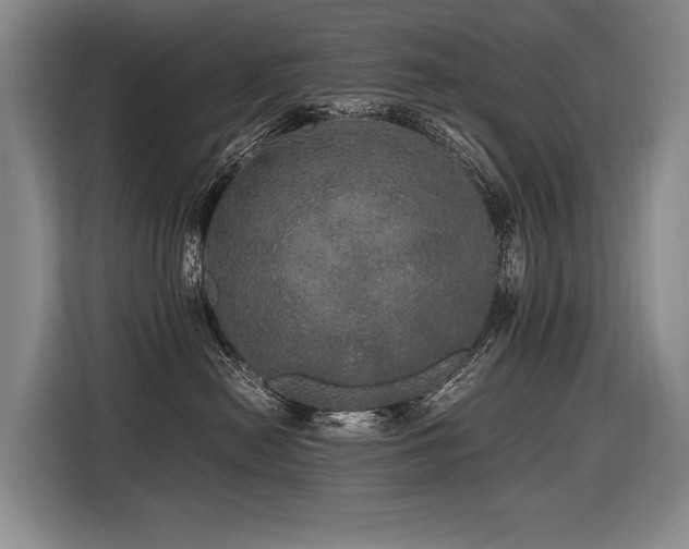 X0000116440478200912081600