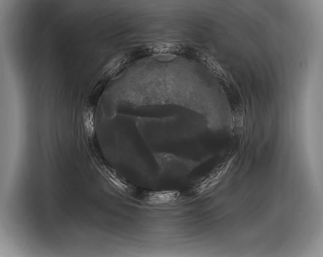 X0000116440479200912081600