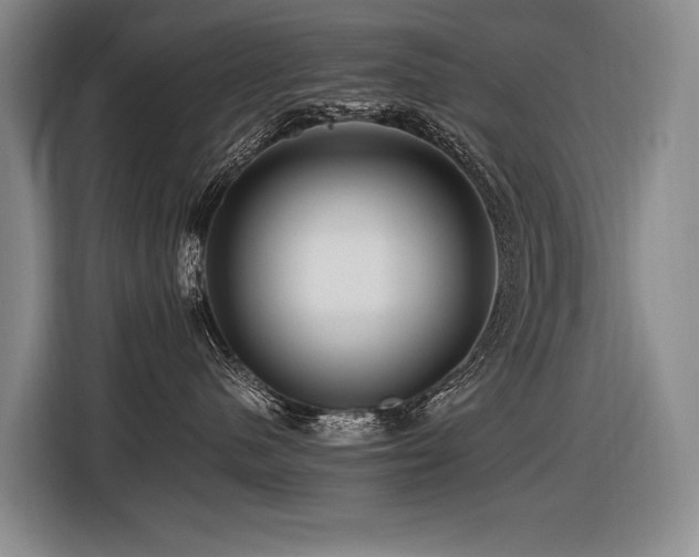 X0000116440480200912081600