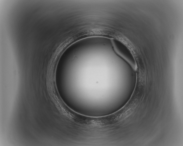 X0000116440481200912081559