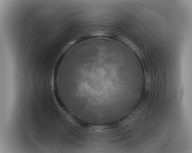 X0000116440482200912081559