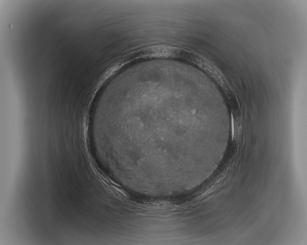 X0000116440483200912081559