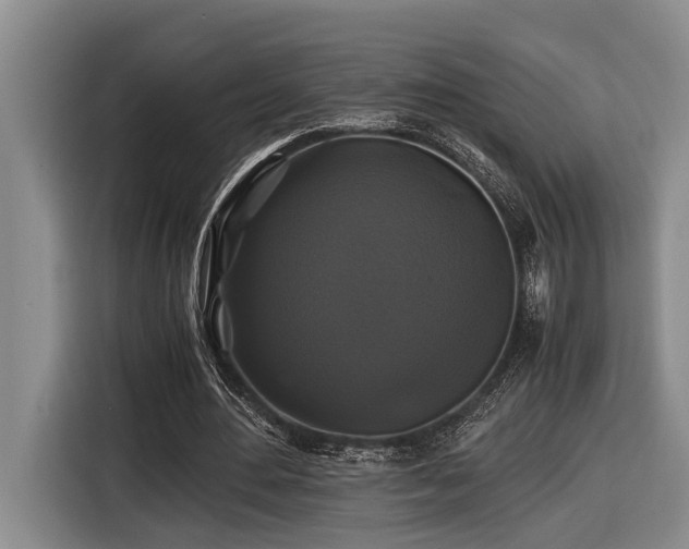 X0000116440484200912081559
