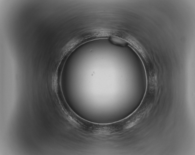 X0000116440485200912081559