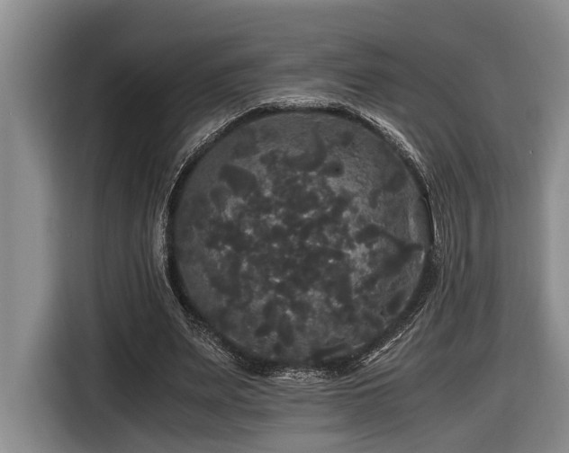 X0000116440487200912081559