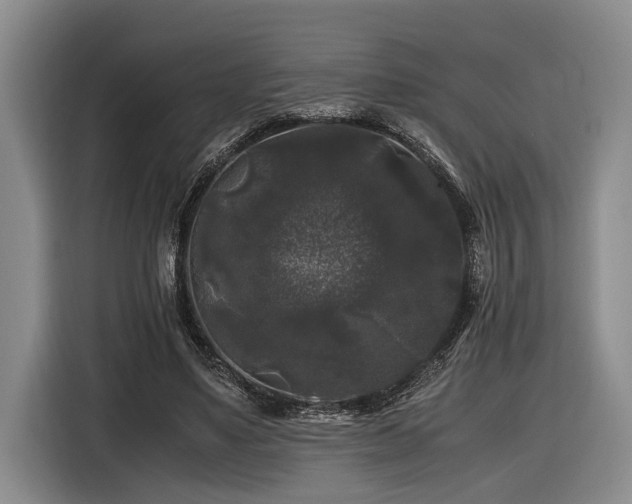 X0000116440491200912081559