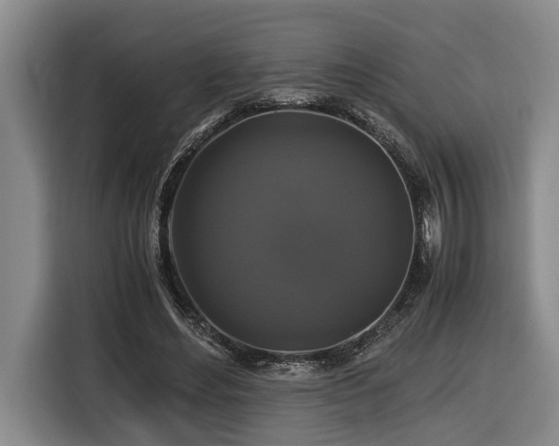 X0000116440492200912081559