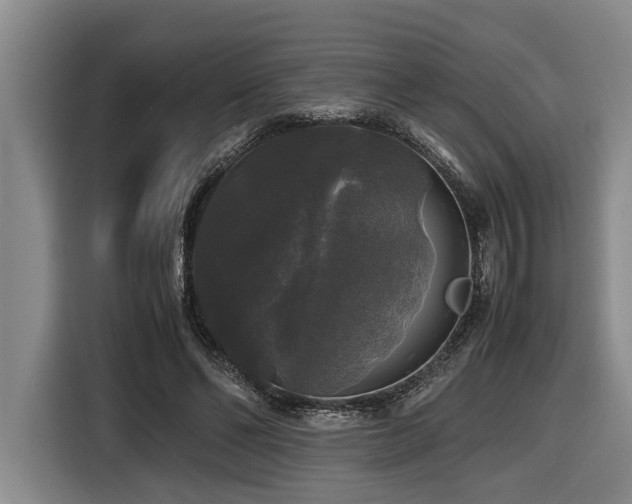 X0000116440494200912081559