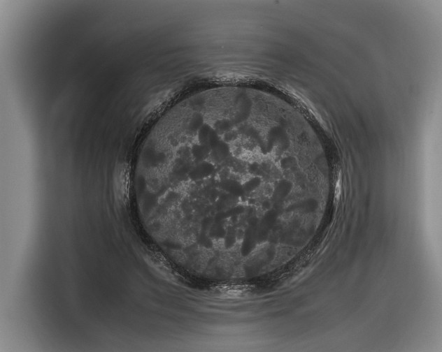 X0000116440495200912081559