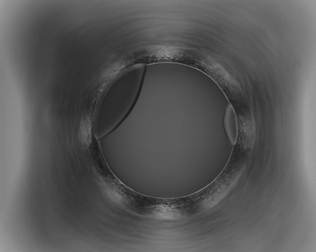 X0000116440496200912081559