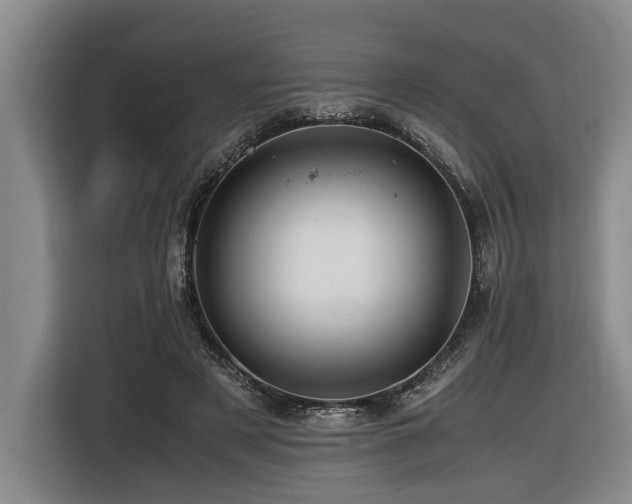 X0000116440497200912081559