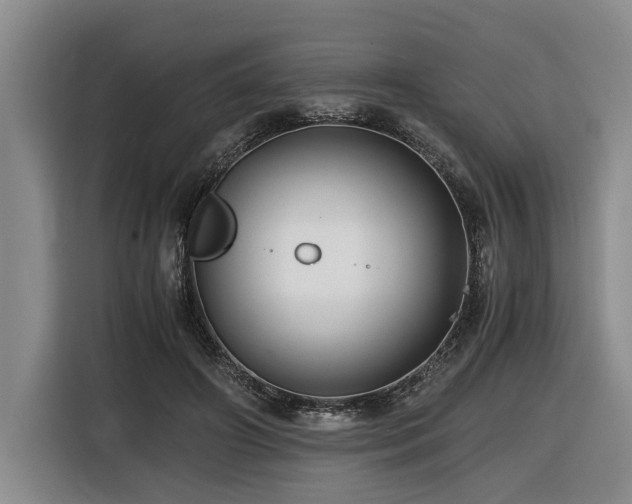 X0000116440498200912081559
