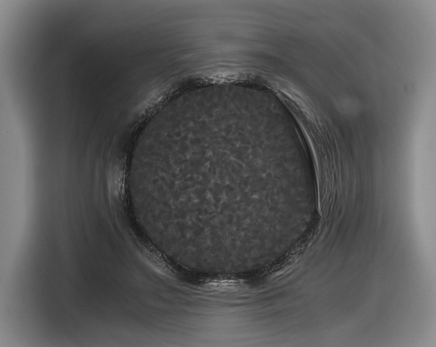 X0000116440499200912081559