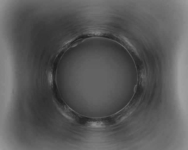 X0000116440500200912081559