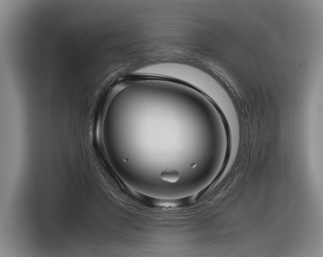 X0000116440501200912081559