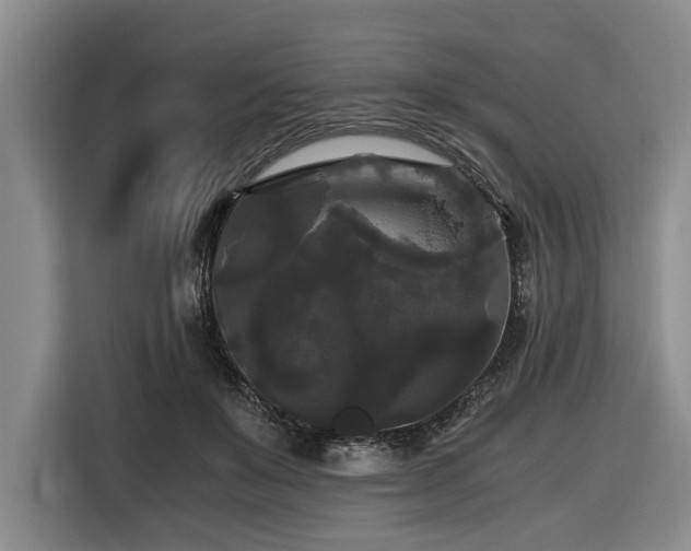 X0000116440503200912081559