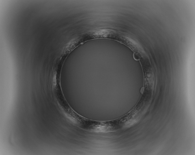 X0000116440504200912081559